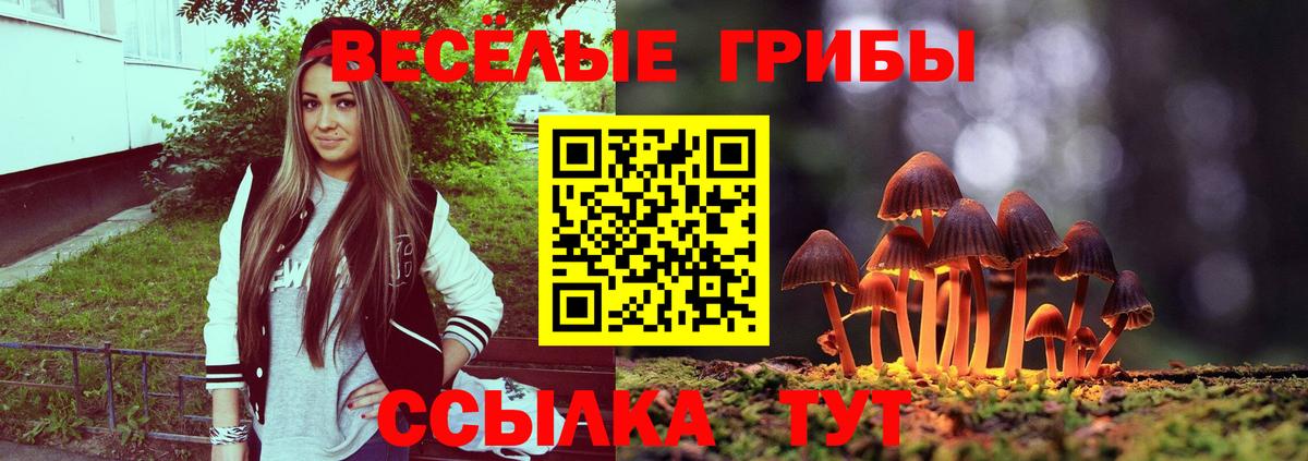 Галлюциногенные грибы мицелий Сочи